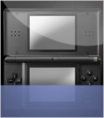 16 DS Lite