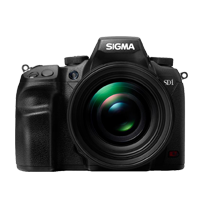 Réparations SD1 <i>(Reflex)</i>